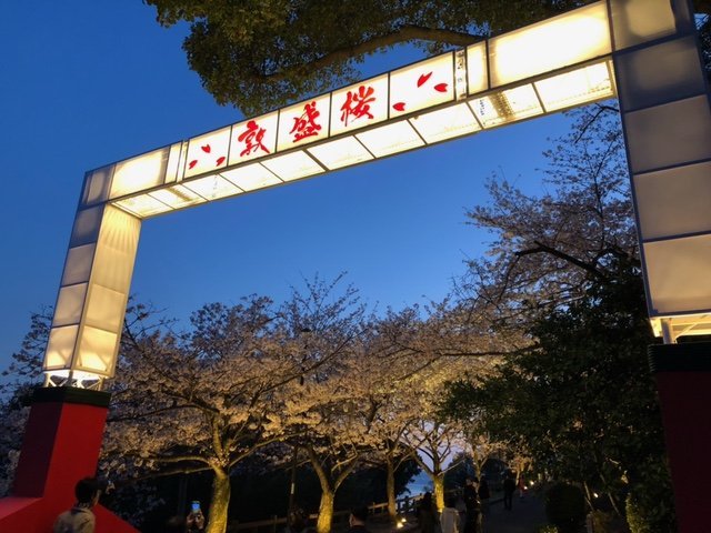 須磨浦公園「敦盛桜 花灯り」